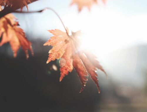 ANEM Community Prayer 10-11-23