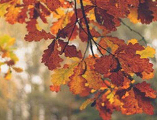 ANEM Community Prayer 09-24-2025