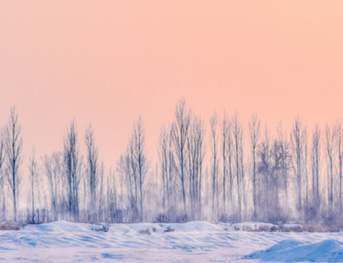 ANEM Community Prayer 1-7-26