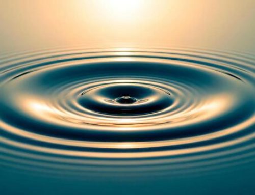 The Ever Widening Circle of Love